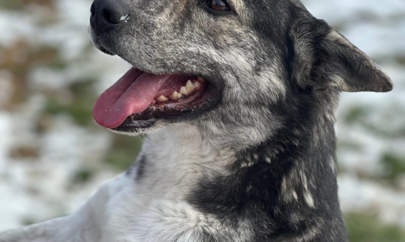 Neele, geb. 12.04.2021