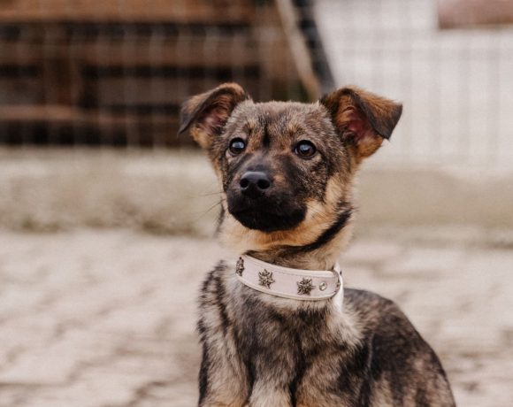 Jay,Jarta,Jill,Jamie,Jeanie,Jodie,Jade Jay,Jarta,Jill,Jamie,Jeanie,Jodie,Jade