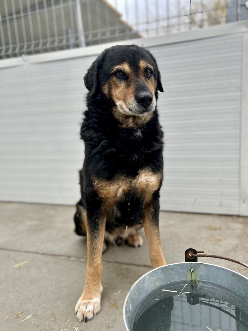 Baiatu, geb. 08.10.2012