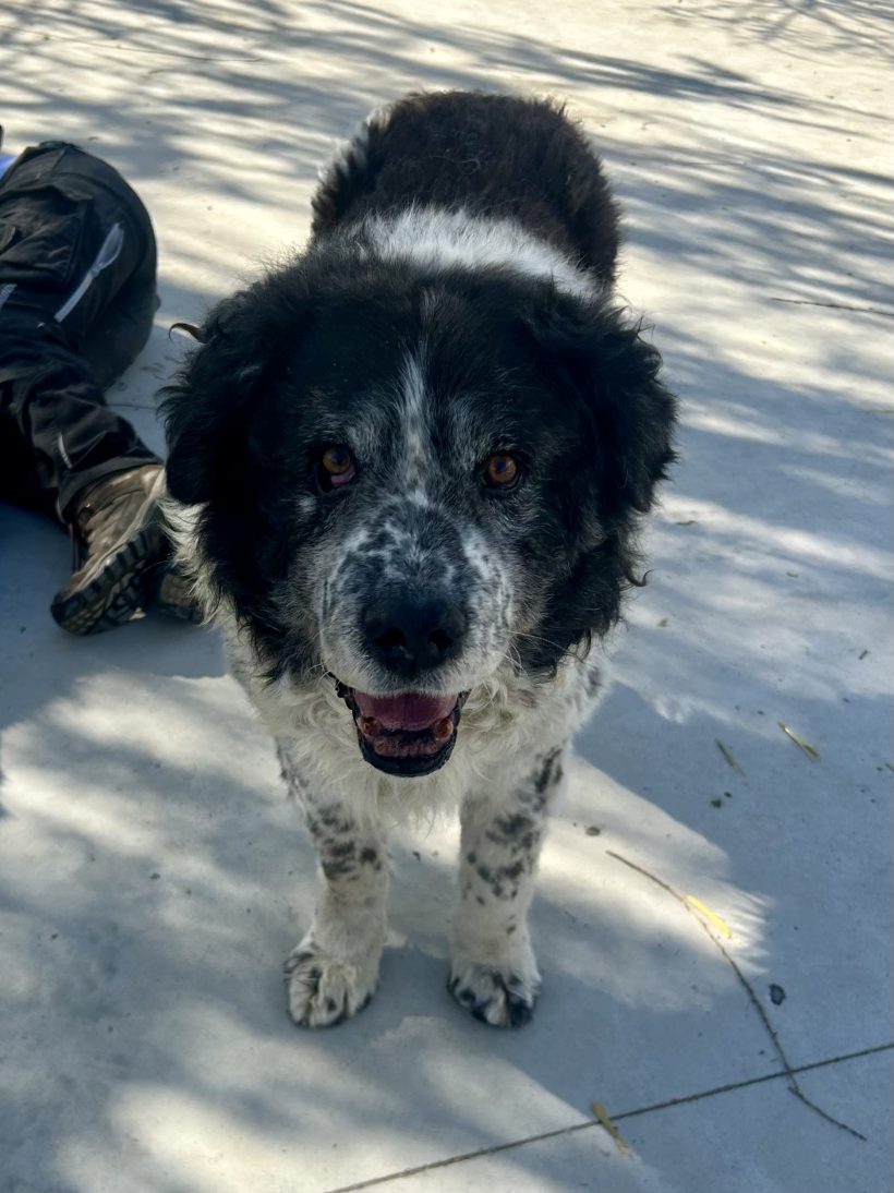 Moschule, geb. 01.01.2014