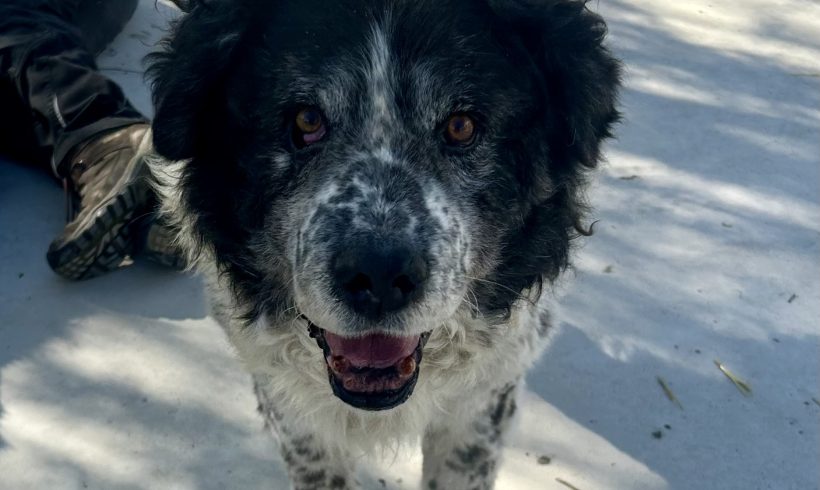 Moschule, geb. 01.01.2014