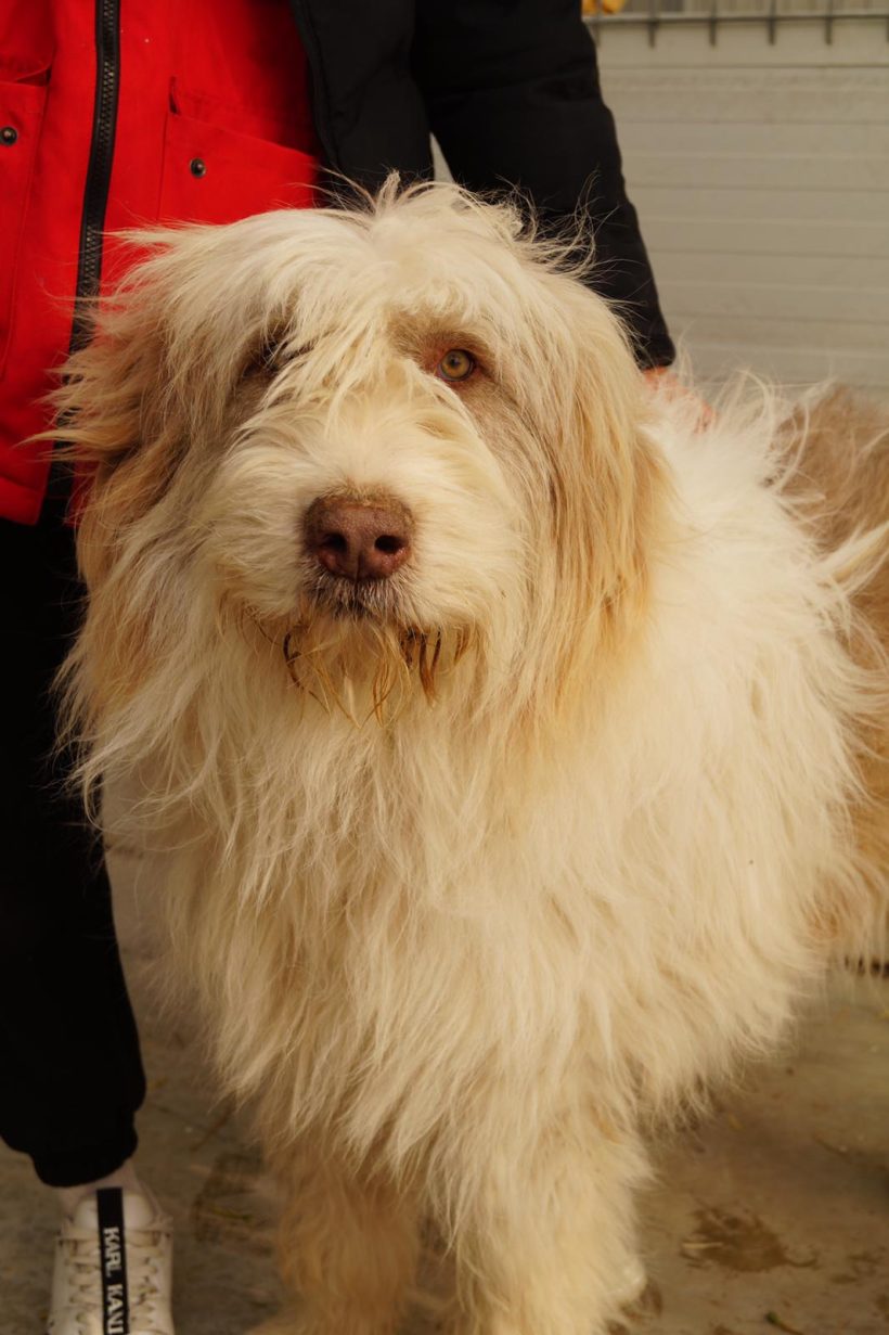 Max, geb. 01.01.2016