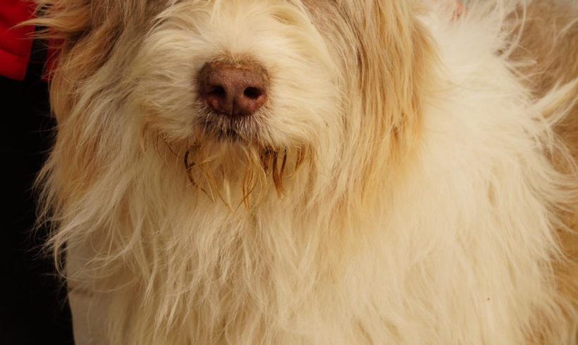 Max, geb. 01.01.2016