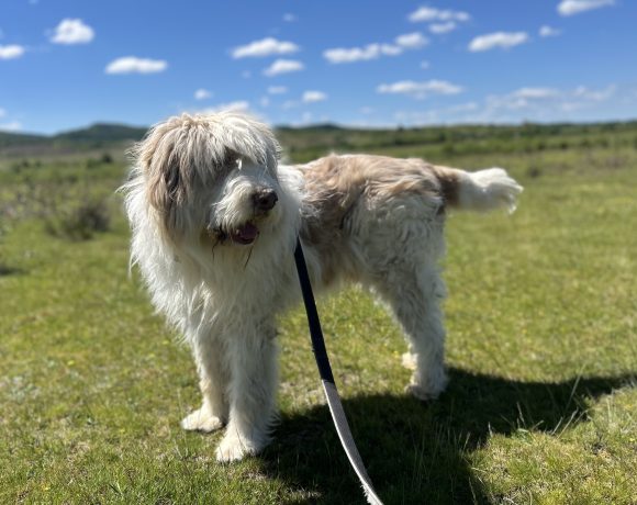 Max