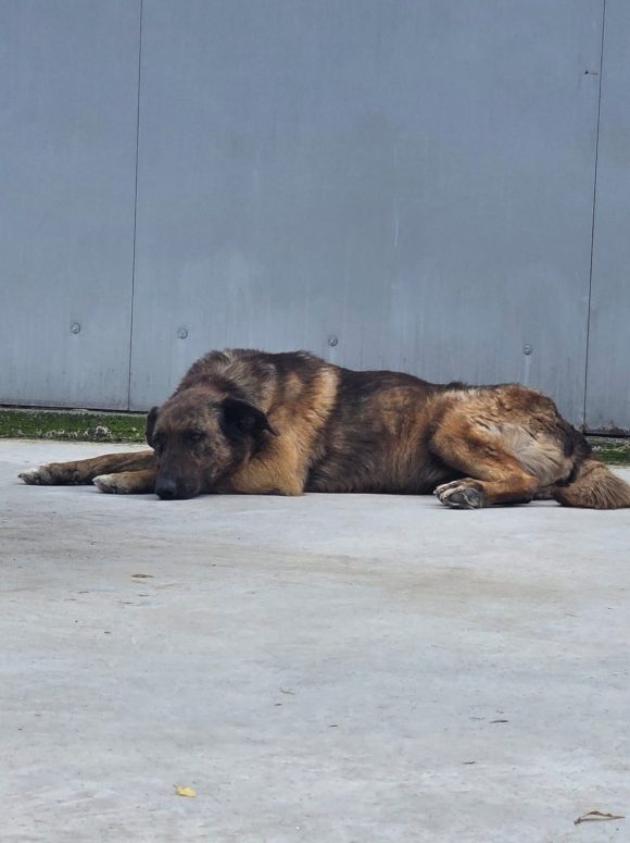 Paola, geb. 05.11.2015 Paola, geb. 05.11.2015