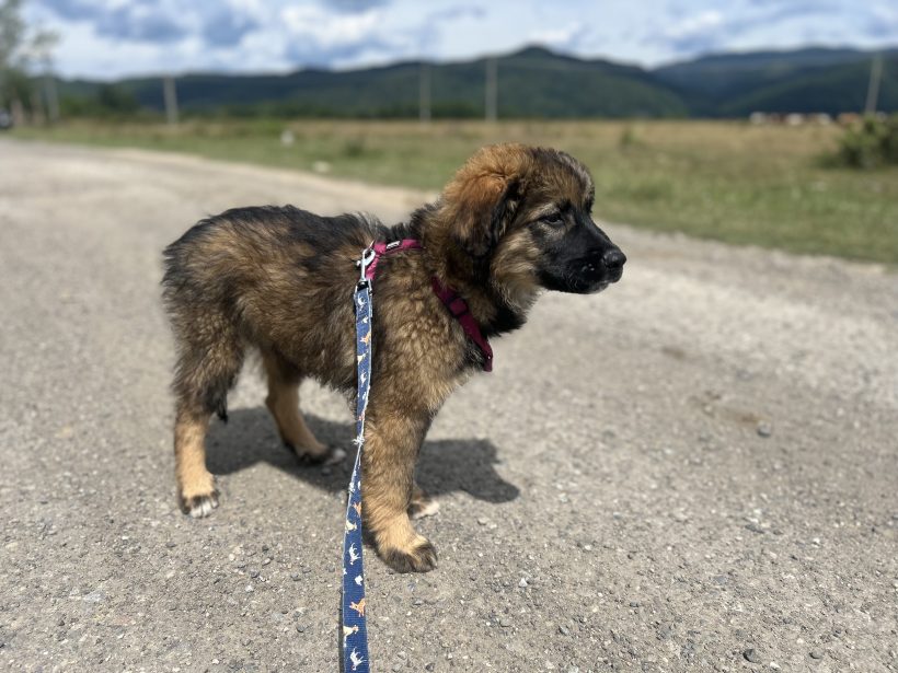 Zeus Zeus